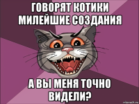 говорят котики милейшие создания а вы меня точно видели?