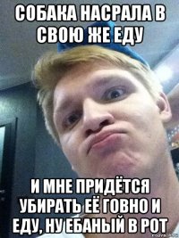 собака насрала в свою же еду и мне придётся убирать её говно и еду, ну ебаный в рот