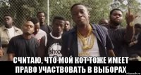  считаю, что мой кот тоже имеет право участвовать в выборах