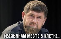 обезьянам место в клетке