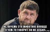  не, почему это животное вообще о чём-то говорит. он же дебил