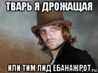 тварь я дрожащая или тим лид ебанажрот