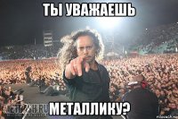 ты уважаешь металлику?
