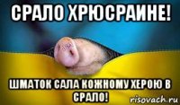 срало хрюсраине! шматок сала кожному херою в срало!