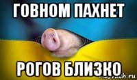 говном пахнет рогов близко