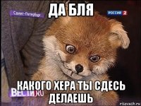 да бля какого хера ты сдесь делаешь
