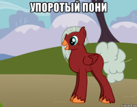 упоротый пони 