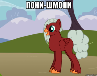 пони-шмони 
