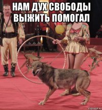 нам дух свободы выжить помогал 
