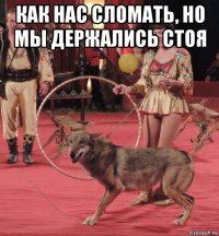 как нас сломать, но мы держались стоя 
