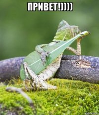 привет!)))) 