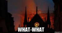  what-what