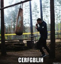  cerfgbljh