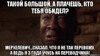 такой большой, а плачешь, кто тебя обидел? мерхелевич...сказал, что я не так перевожу, а ведь я 3 года учусь на переводчика!