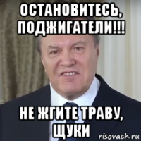 остановитесь, поджигатели!!! не жгите траву, щуки
