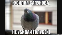 юсилия сапунова, не убивай голубей!