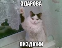 здарова пиздюки