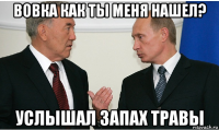 вовка как ты меня нашел? услышал запах травы