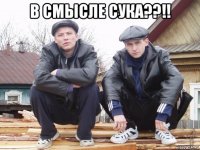 в смысле сука??!! 