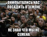 они пытались нас посадить в землю не зная что мы не семена