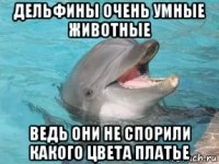 дельфины очень умные животные ведь они не спорили какого цвета платье
