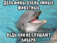 дельфины очень умные животные ведь они не слушают бибера
