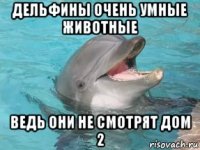 дельфины очень умные животные ведь они не смотрят дом 2
