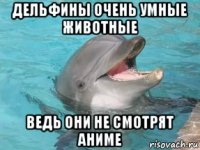 дельфины очень умные животные ведь они не смотрят аниме