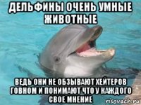 дельфины очень умные животные ведь они не обзывают хейтеров говном и понимают что у каждого свое мнение