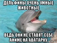 дельфины очень умные животные ведь они не ставят себе аниме на аватарку