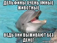 дельфины очень умные животные ведь они выживают без денег