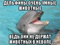 дельфины очень умные животные ведь они не держат животных в неволе
