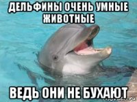 дельфины очень умные животные ведь они не бухают
