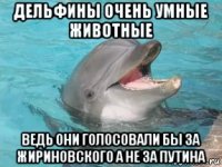 дельфины очень умные животные ведь они голосовали бы за жириновского а не за путина