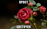 прост цветочек