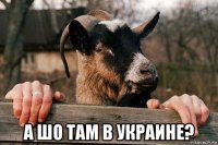  а шо там в украине?