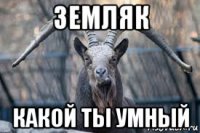 земляк какой ты умный