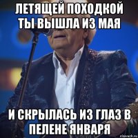 летящей походкой ты вышла из мая и скрылась из глаз в пелене января