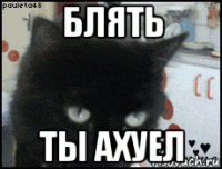 блять ты ахуел