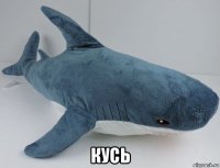  кусь