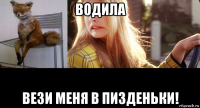 водила вези меня в пизденьки!