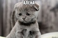 алёна 