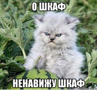 о шкаф ненавижу шкаф