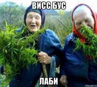 висс бус лаби