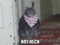  ипу неси