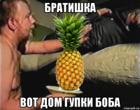 братишка вот дом гупки боба