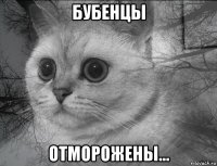 бубенцы отморожены...
