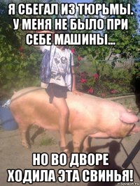 я сбегал из тюрьмы. у меня не было при себе машины... но во дворе ходила эта свинья!