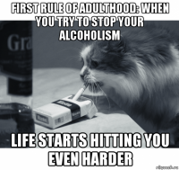 first rule of adulthood: when you try to stop your alcoholism life starts hitting you even harder