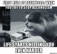first rule of adulthood: when you try to stop alcoholism life starts hitting you even harder
